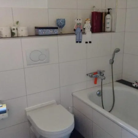 Gorgeous In Truttli Area Of * Lauenen