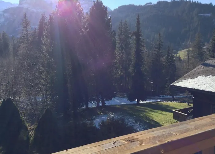 Gorgeous In Truttli Area Of Lauenen